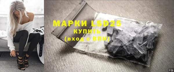 PSILOCYBIN Горнозаводск