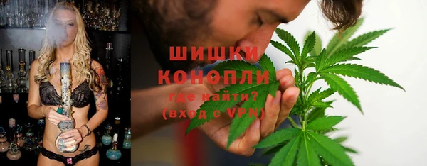 дурь Горно-Алтайск