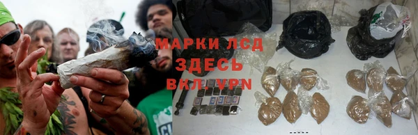 дурь Горно-Алтайск