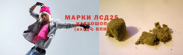 PSILOCYBIN Горнозаводск