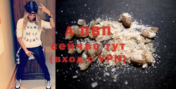 PSILOCYBIN Горнозаводск