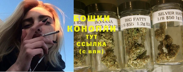 PSILOCYBIN Горнозаводск