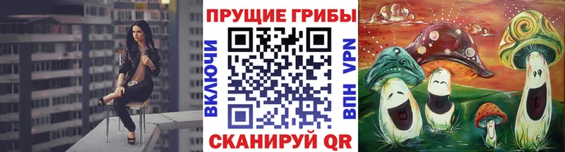Галлюциногенные грибы MAGIC MUSHROOMS дарнет шоп Новомосковск