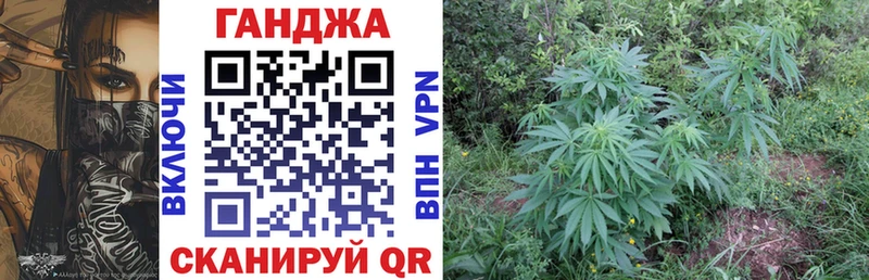 Конопля Amnesia  OMG онион  Новомосковск 